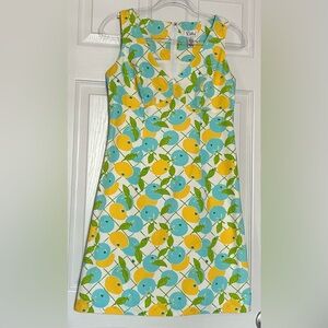 VTG Lilly Pulitzer White Label Blueberry and Lemon Shift Dress Women’s Size 4